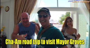 Cha-Am road trip to visit Mayor Groves