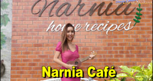 Narnia Café | Suburban Life | Lessons Learnt
