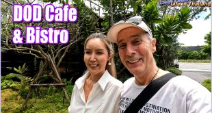 DOD Cafe Revisit – Gardens, Cake & Everyday Thailand