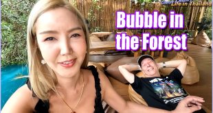 Relaxing at Bubble in the Forest – Bean Bags, Pond Views & TikTok Fun